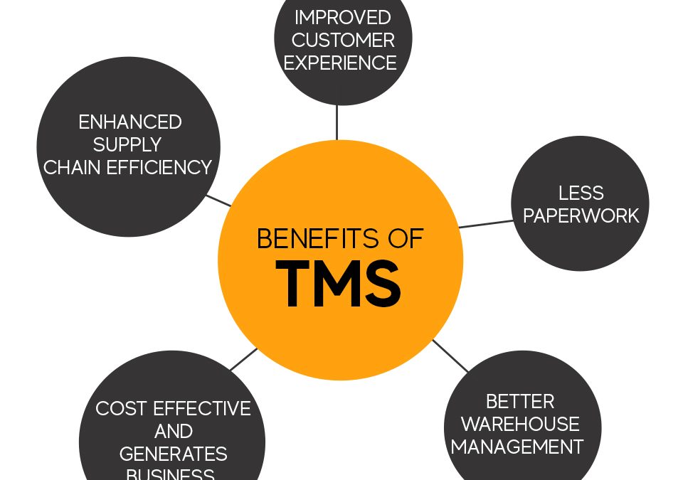 ADVANTAGES OF TRANSPORT MANAGEMENT SOLUTIONS (TMS)